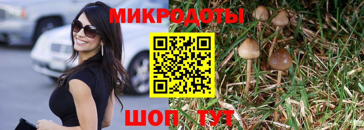 Галлюциногенные грибы Psilocybe Ивантеевка