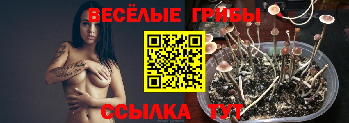 Ивантеевка  Галлюциногенные грибы мицелий  Вход с VPN 